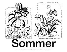 Schild-Sommer-8-SW.pdf
